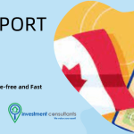 CA Report for Visa: (Net Worth Certificate)