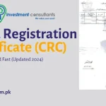 Child Registration Certificate (B-Form) – Complete 2025 Guide