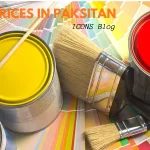 Paint Prices in Pakistan 19-12-2025